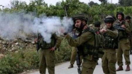 Los israelíes atacan, asesinan y arrestan a palestinos bajo cualquier pretexto